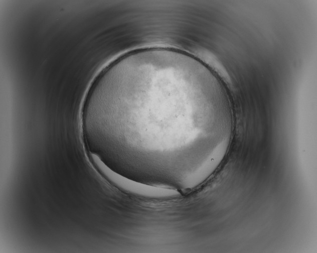 X0000094221380200711161840