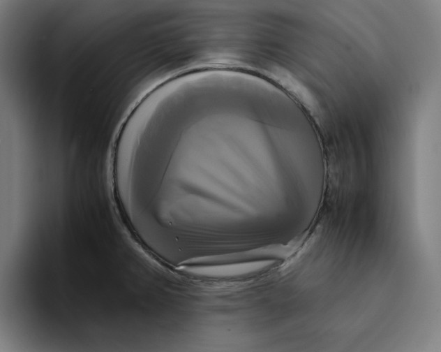 X0000094221382200711161840