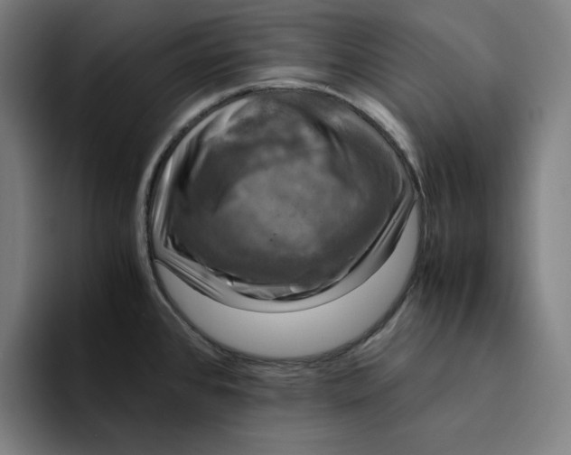 X0000094221384200711161840