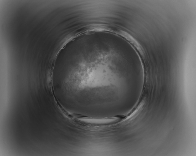 X0000094221385200711161840