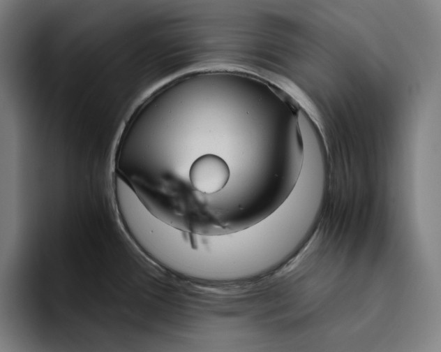 X0000094221388200711161840