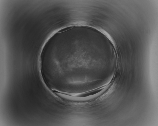 X0000094221389200711161840