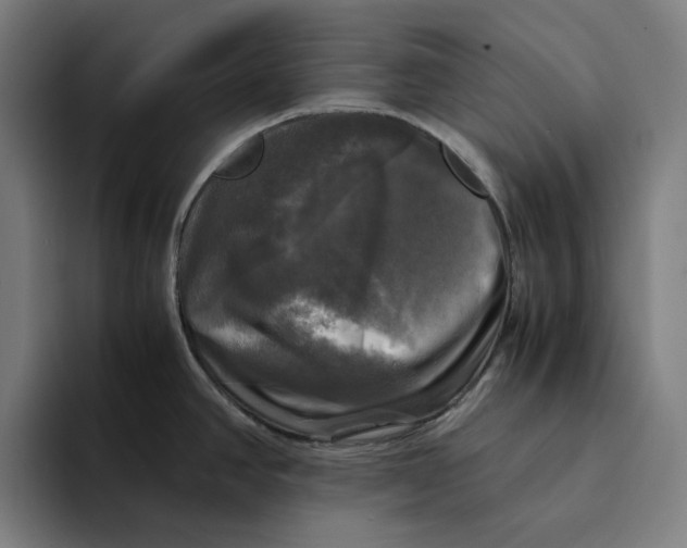 X0000094221390200711161840