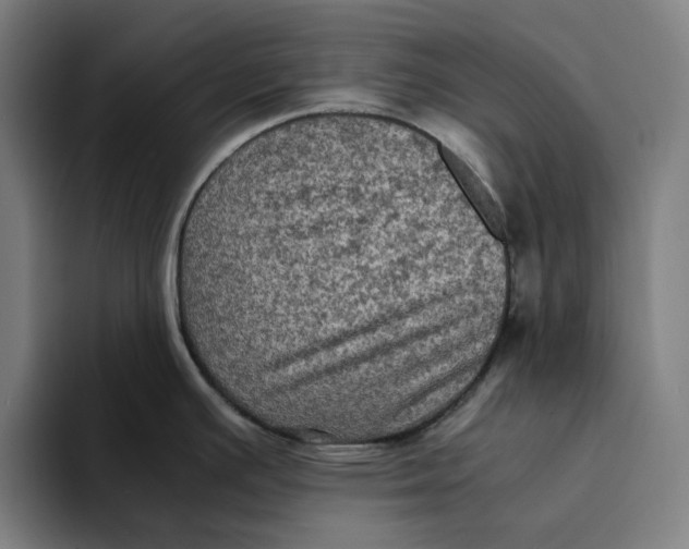 X0000094221391200711161840