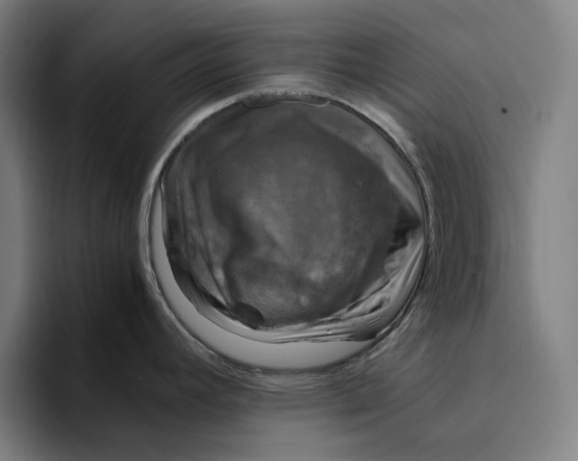 X0000094221392200711161840