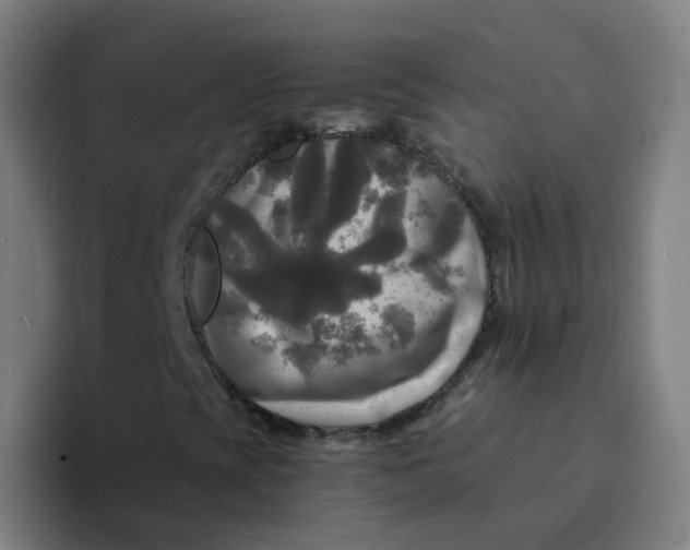 X0000094221393200711161839