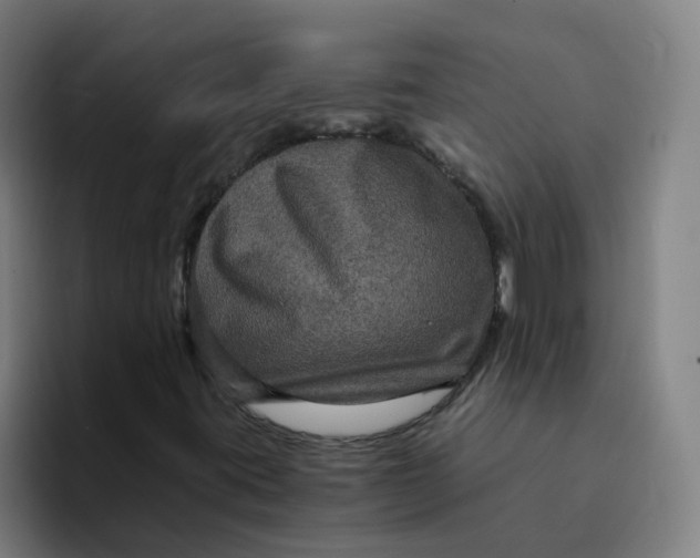 X0000094221395200711161839