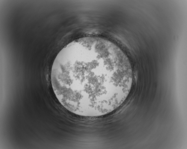 X0000094221396200711161839