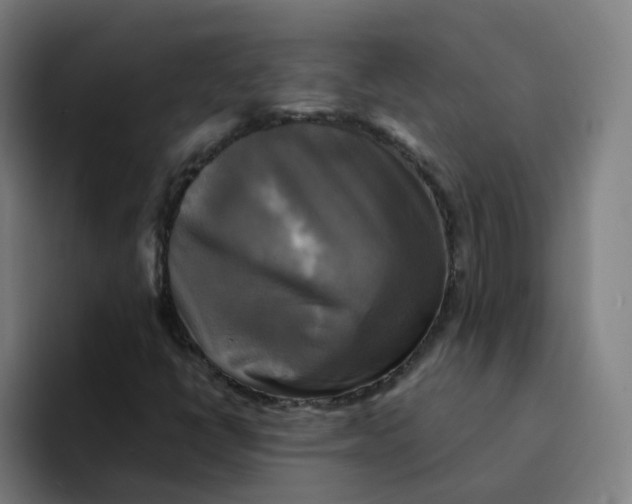 X0000094221398200711161839