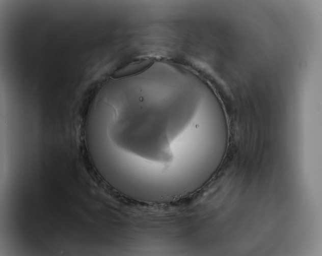 X0000094221399200711161839