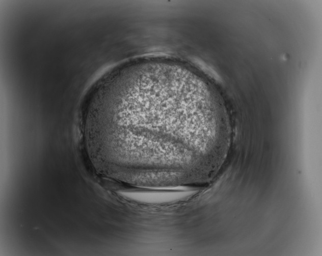 X0000094221400200711161839