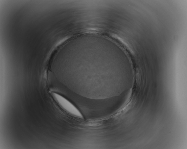 X0000094221402200711161839