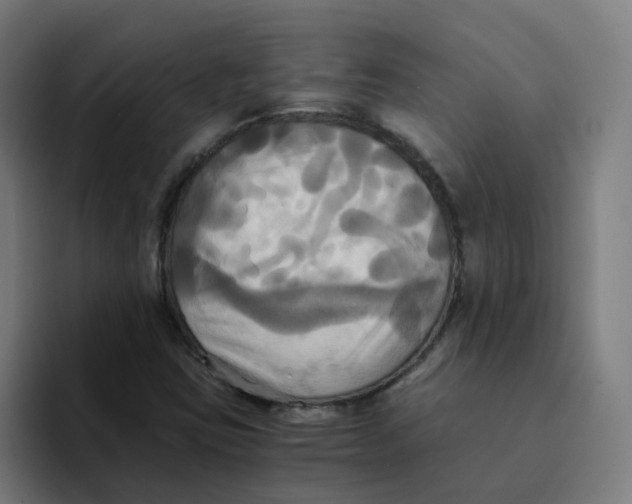 X0000094221403200711161839