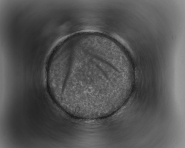 X0000094221408200711161839