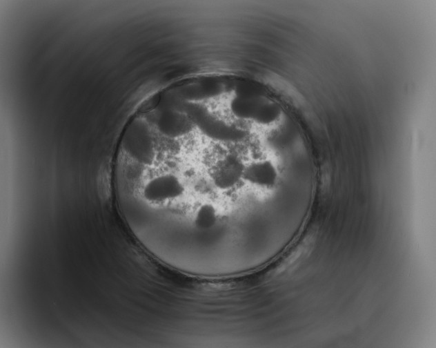 X0000094221409200711161839