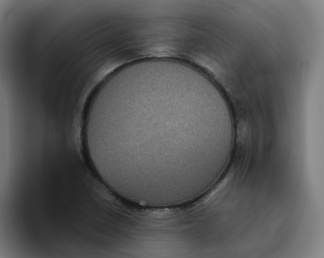 X0000094221410200711161839