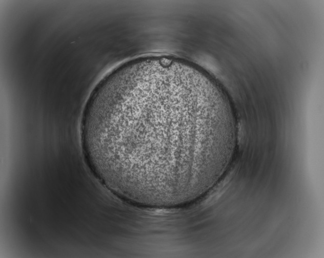 X0000094221412200711161840