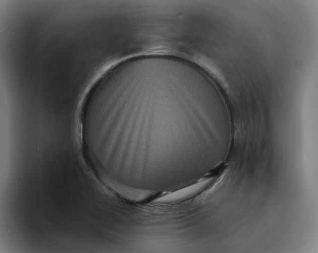 X0000094221414200711161840