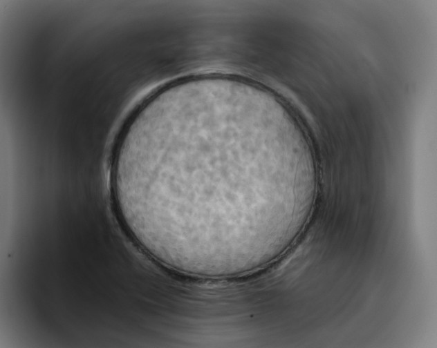 X0000094221416200711161840