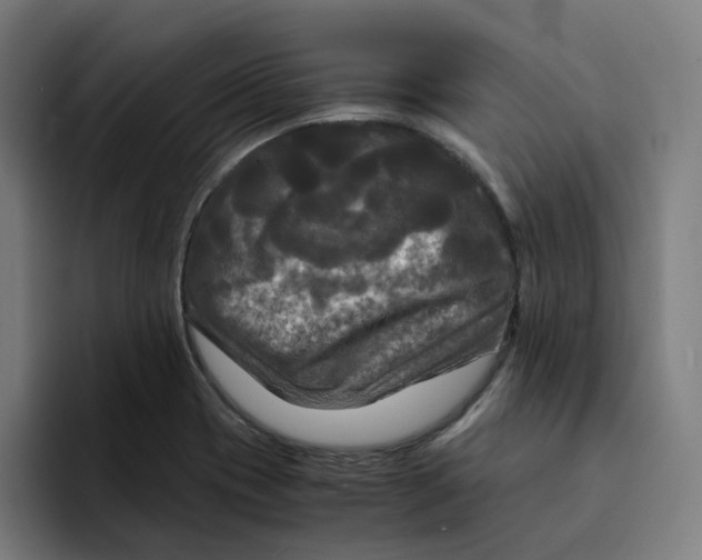 X0000094221417200711161840