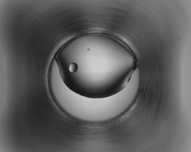 X0000094221418200711161840