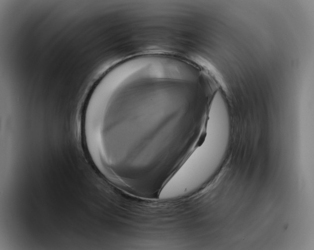 X0000094221419200711161840