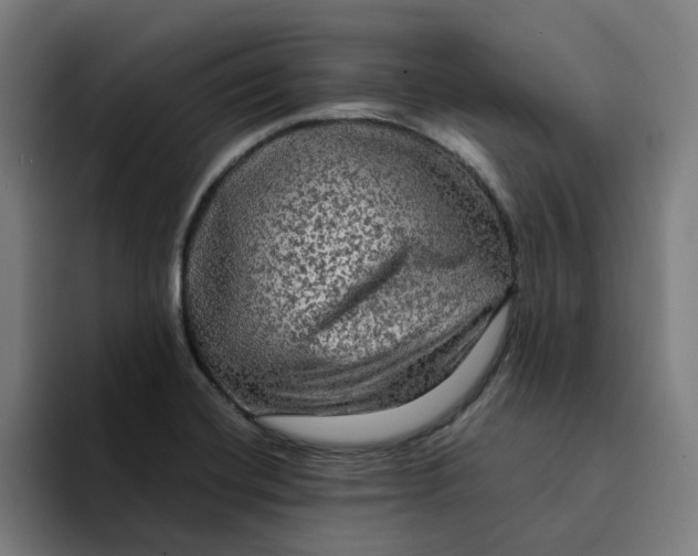 X0000094221420200711161840