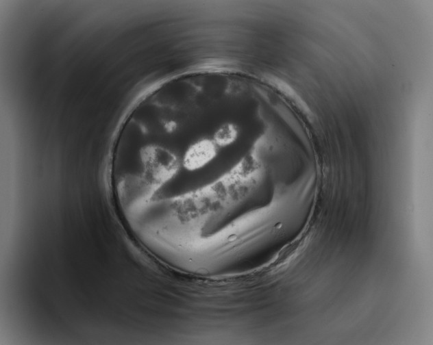 X0000094221421200711161840