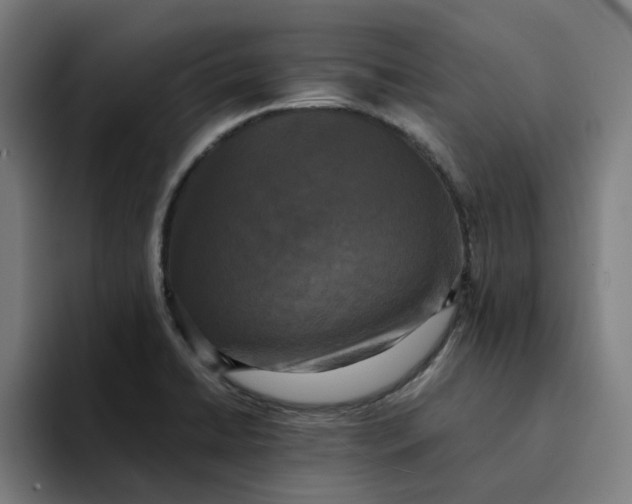 X0000094221422200711161840