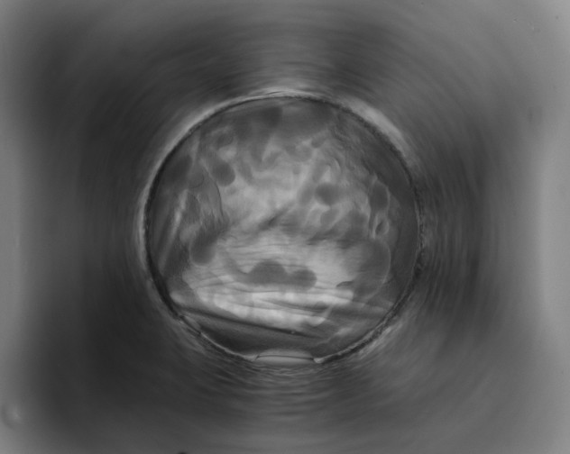 X0000094221423200711161840