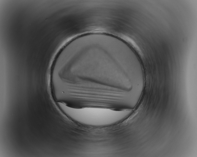 X0000094221424200711161840