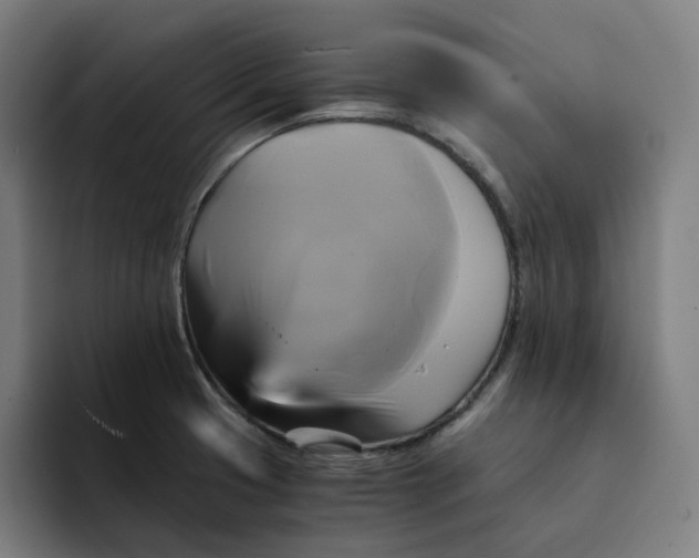 X0000094221425200711161840