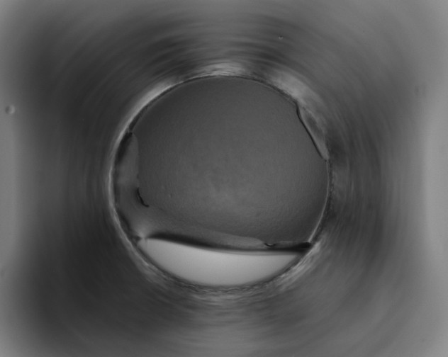 X0000094221426200711161840