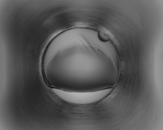 X0000094221427200711161840