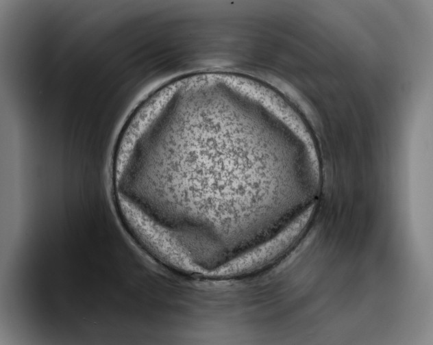 X0000094221432200711161840