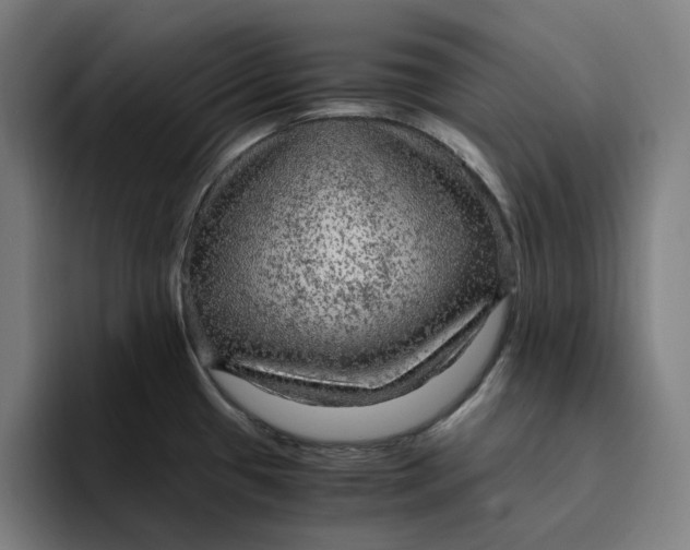 X0000094221433200711161840