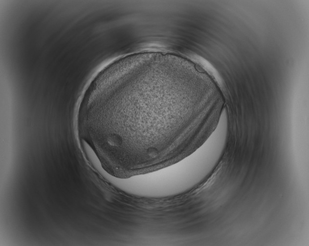 X0000094221435200711161840