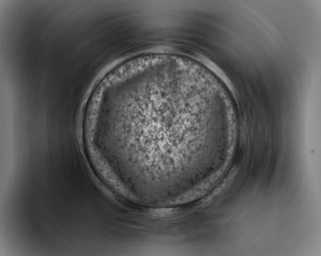 X0000094221437200711161840