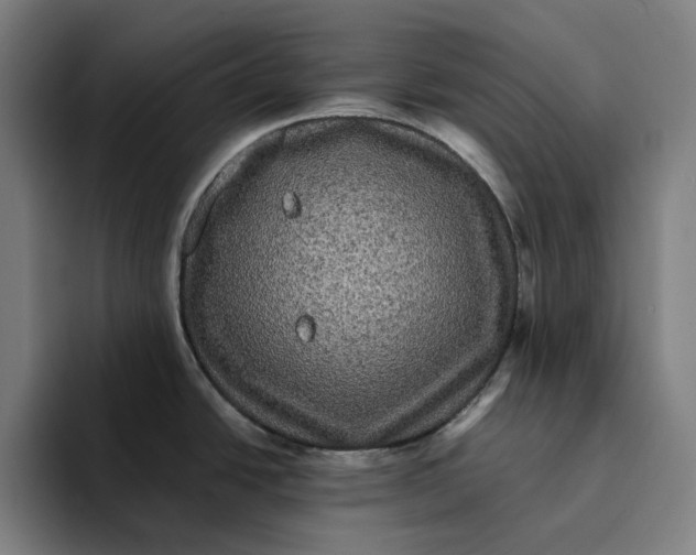 X0000094221438200711161840