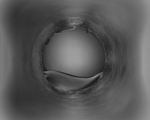 X0000094221441200711161839