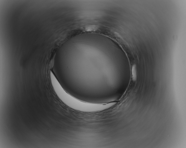 X0000094221443200711161839