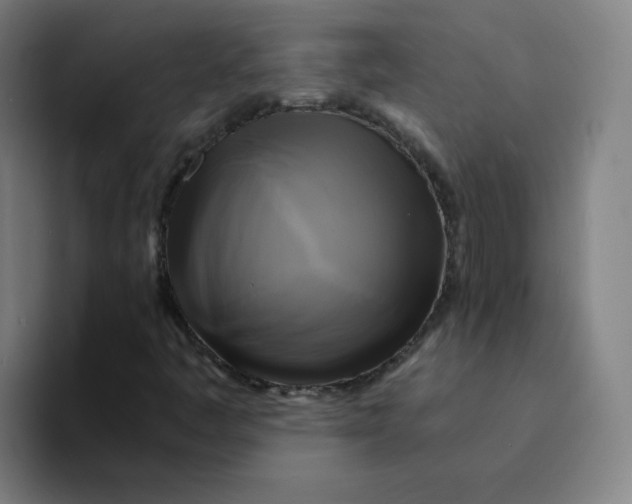 X0000094221445200711161839