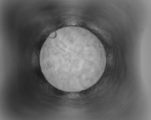 X0000094221446200711161839