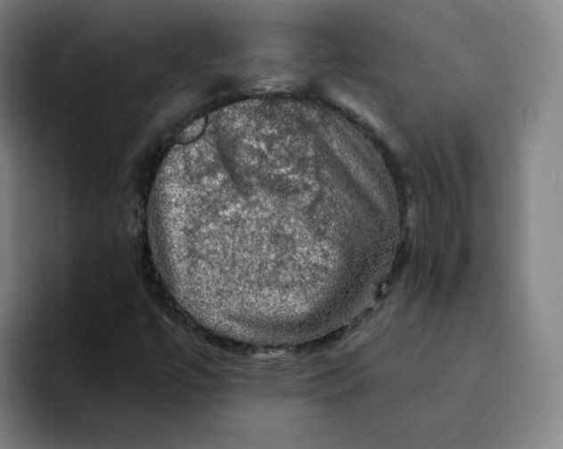 X0000094221447200711161839