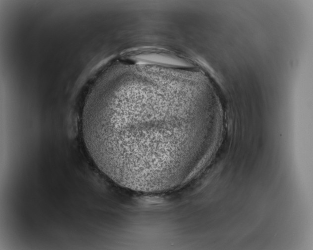 X0000094221448200711161839