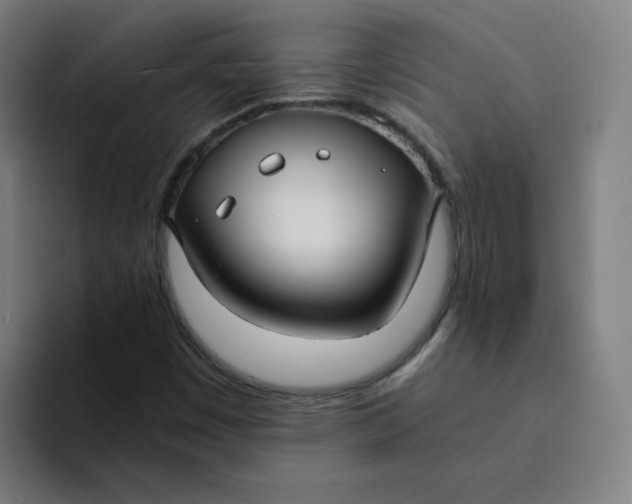 X0000094221449200711161839