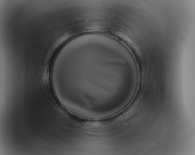 X0000094221450200711161839