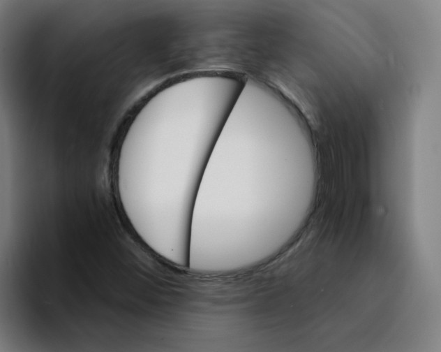 X0000094221452200711161839