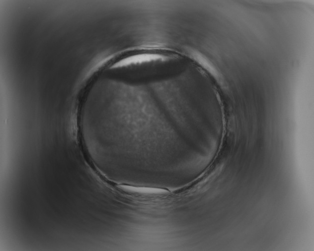 X0000094221456200711161839