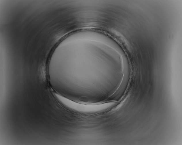 X0000094221457200711161839